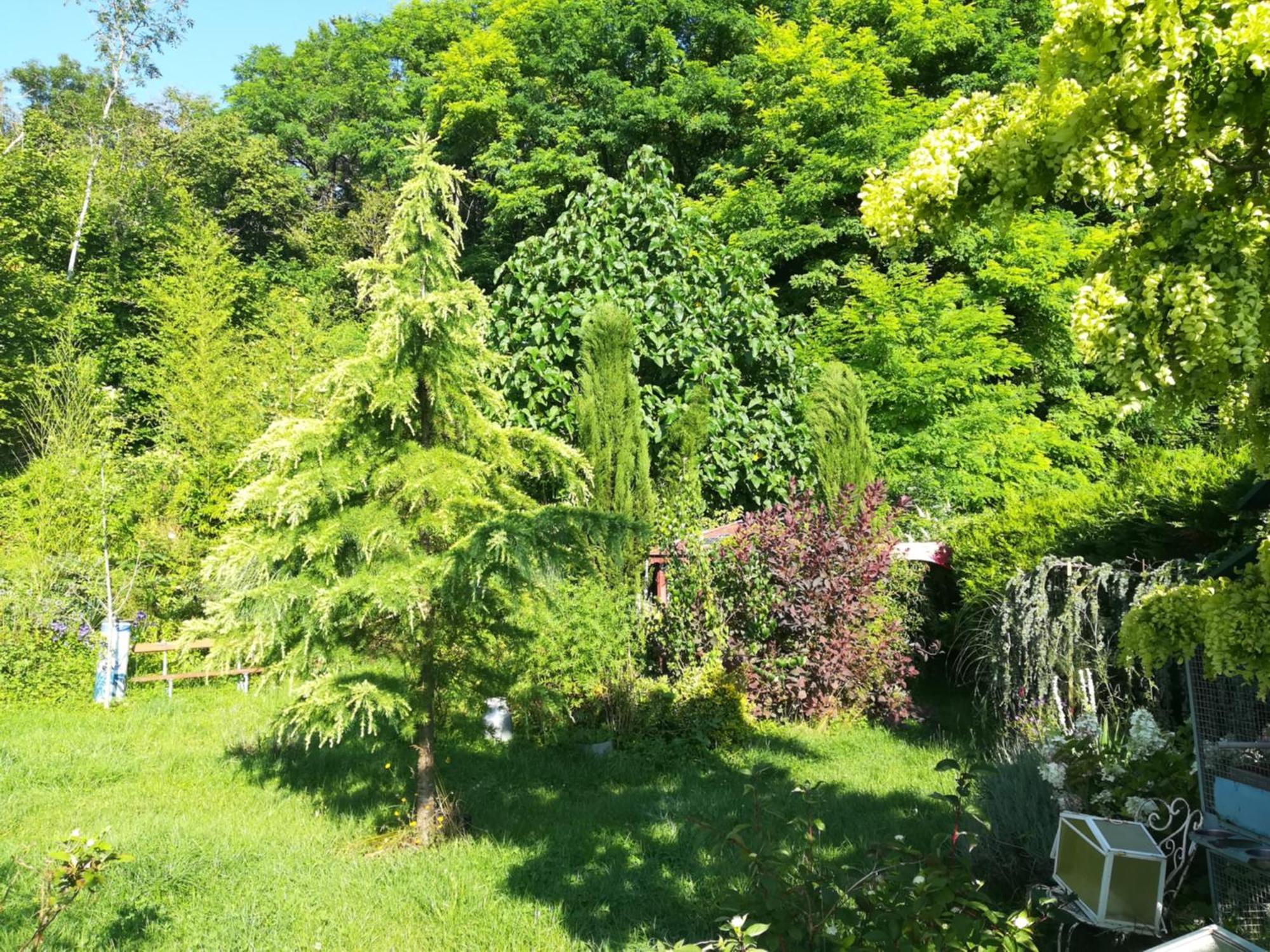 Apiculteur Loue 2 Chambres Dans Cadre Verdoyant Pagny-sur-Meuse Kültér fotó