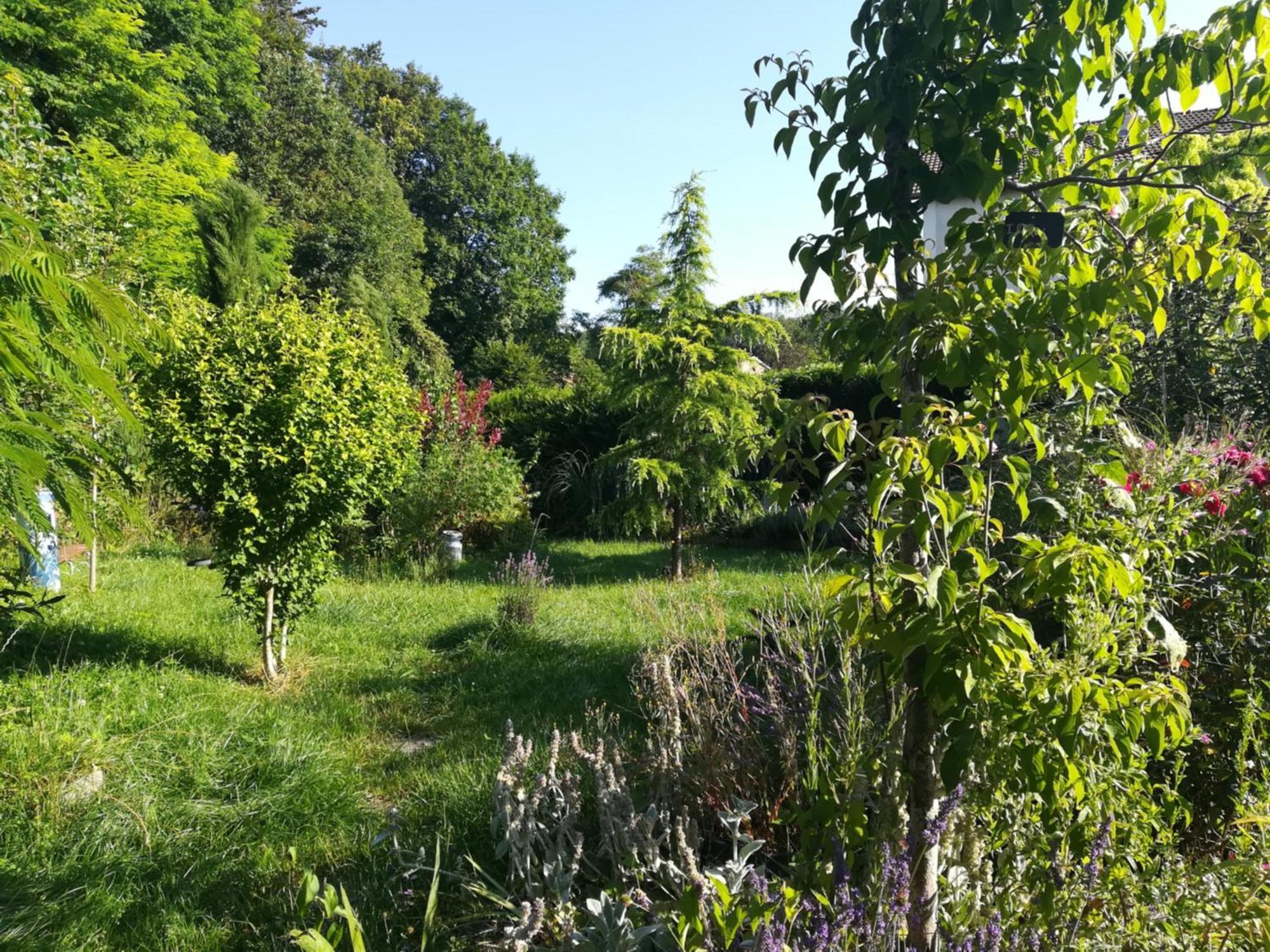 Apiculteur Loue 2 Chambres Dans Cadre Verdoyant Pagny-sur-Meuse Kültér fotó